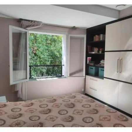 Elegant 4-5 Bedrooms Walk To Palais & Beaches Villa Cannes
