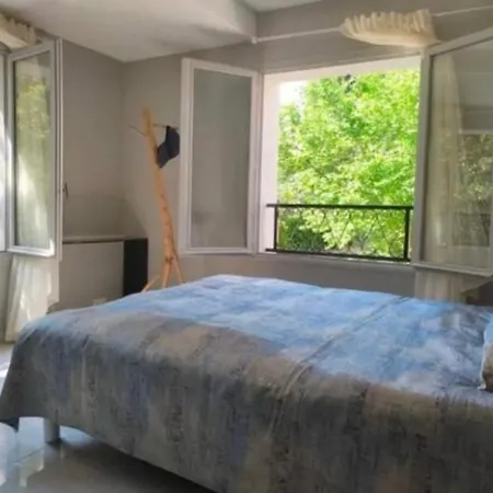 Elegant 4-5 Bedrooms Walk To Palais & Beaches Villa *